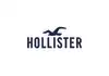 Hollister Gift Cards - Plusgiftcard